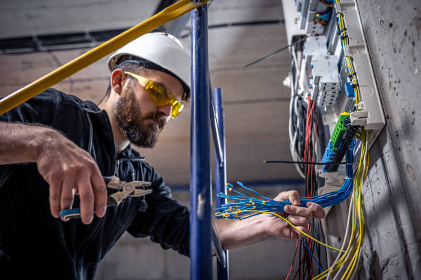 Best Electric Panel Repair  in Green Bay, WI